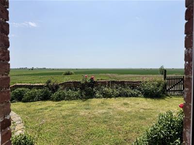 Picture 20